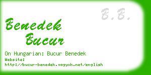 benedek bucur business card